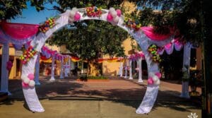 Entry Arches
